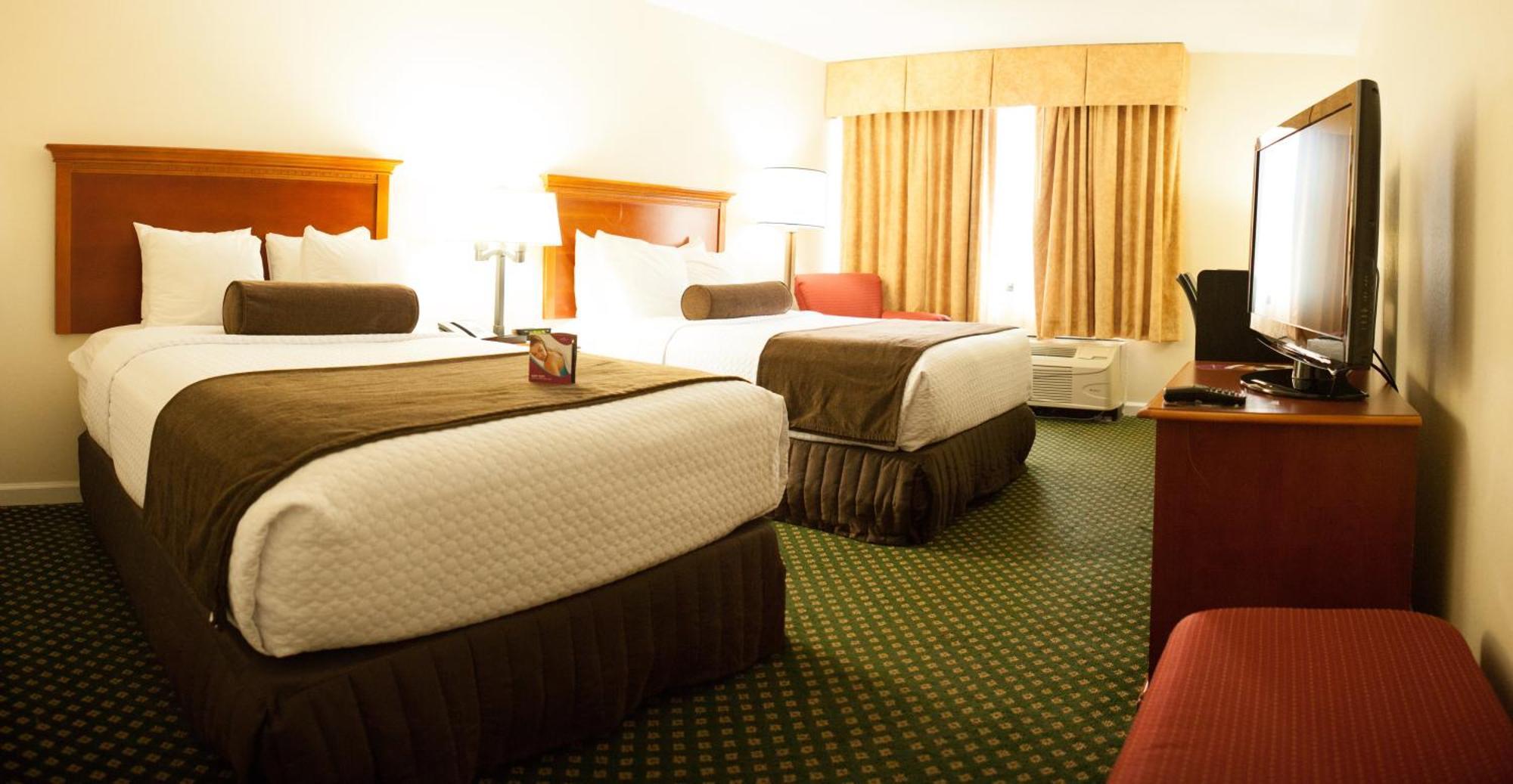 Standard Double Room Two Double Beds